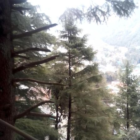 Himalayan Triund Trekking And Mountain View Vandrehjem Dharamshala Eksteriør billede
