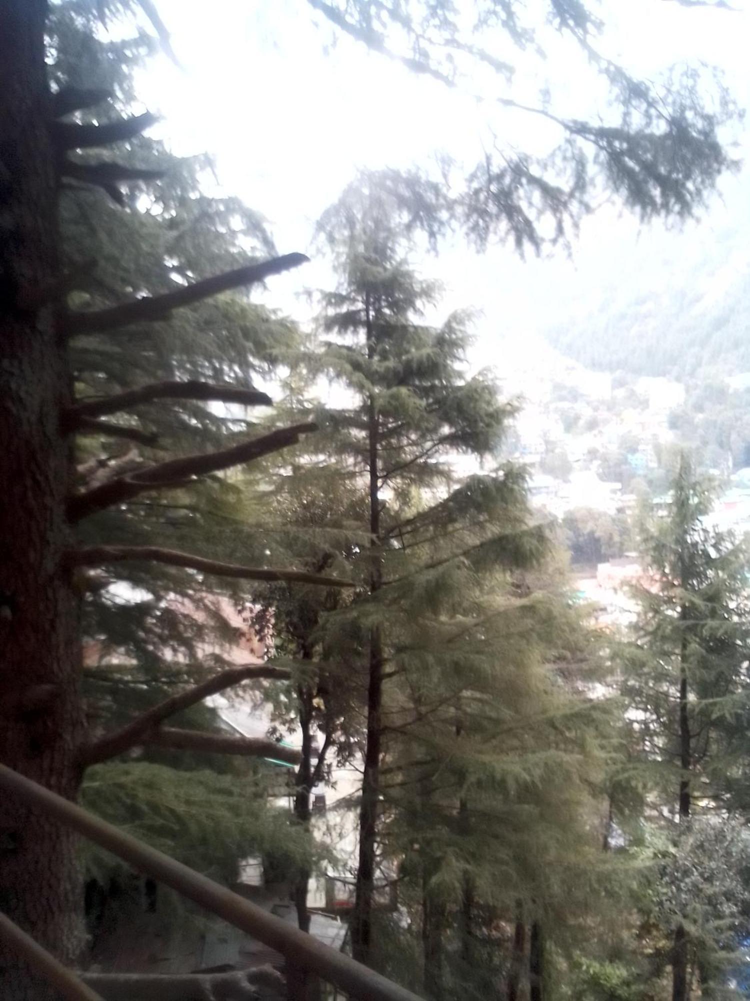 Himalayan Triund Trekking And Mountain View Vandrehjem Dharamshala Eksteriør billede